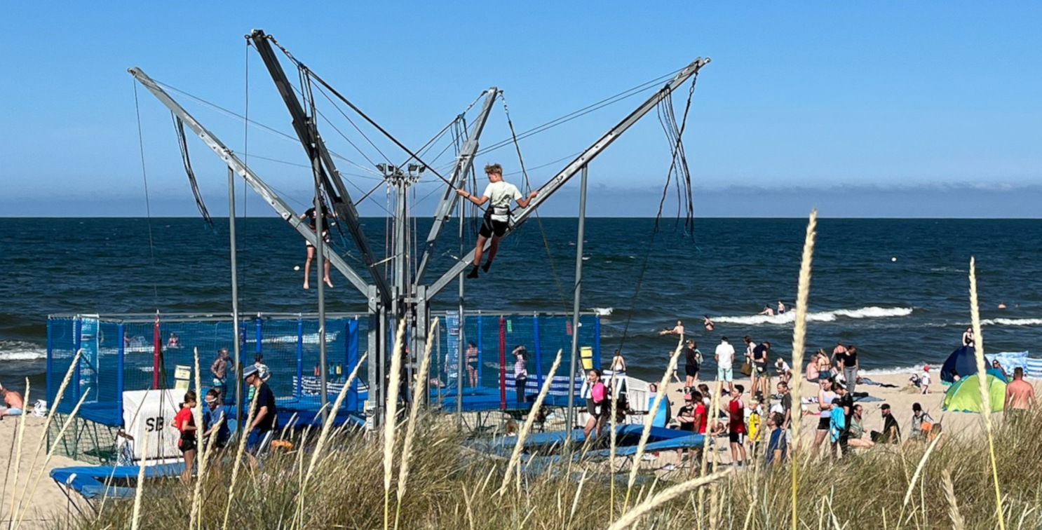 Merry Cristmas & Happy New Year